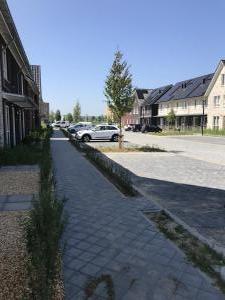 IMG 0538