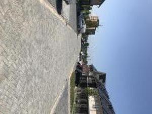 IMG 0539