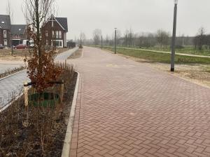 IMG 2505 (1)